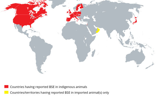 Countries having reported BSE 